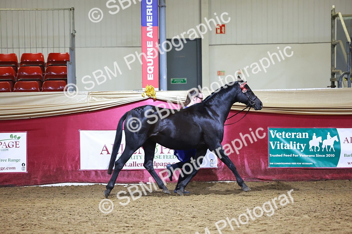 SBM_15505 - Class R - Veteran Champ