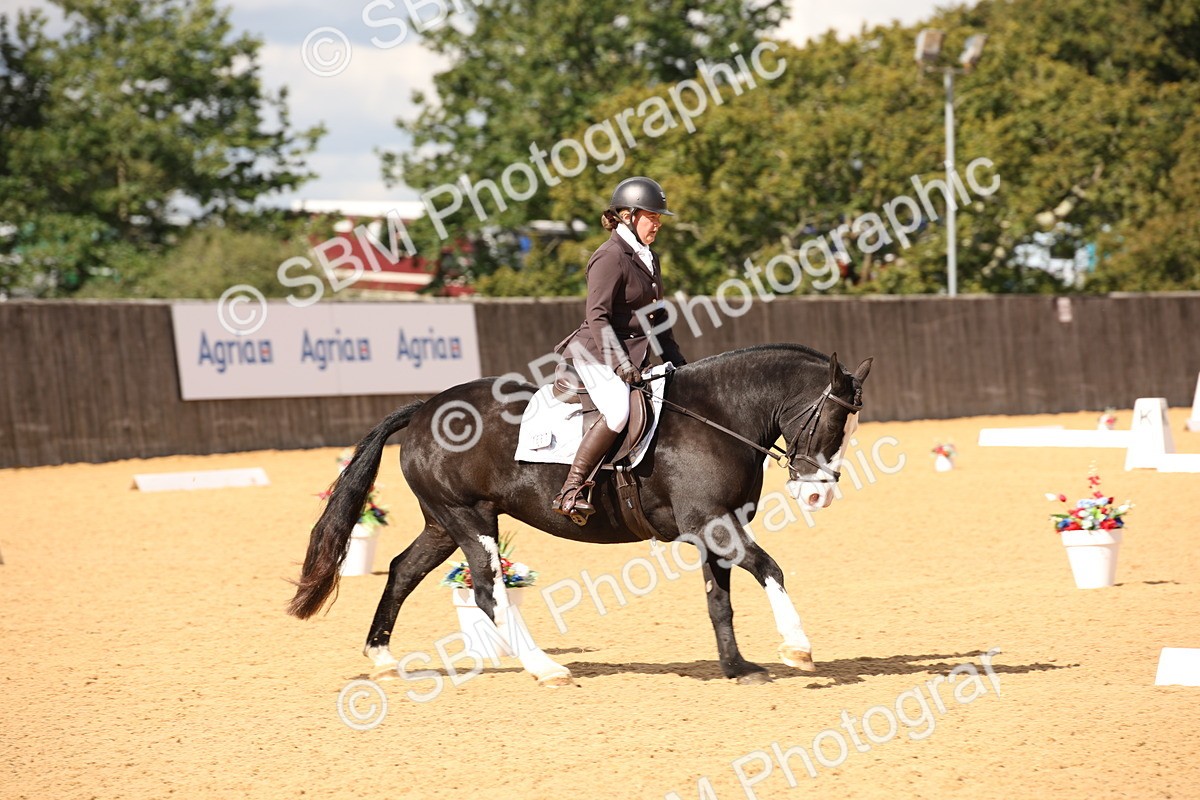 SBM_08883 - D8 Small Tour Championship Prelim 7