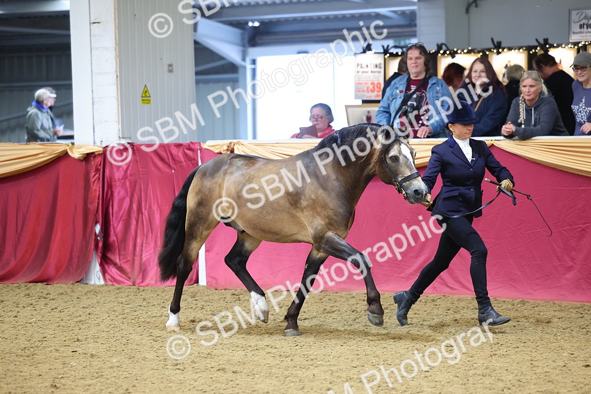 SBM_22676 - Class 903 - Supreme Final - IH Pre Vet