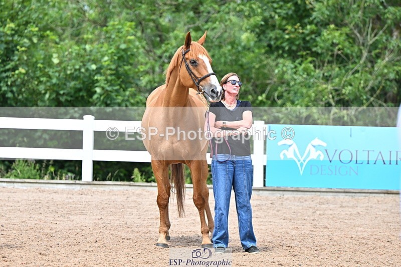 240718A-105320-01869 - Trot Up 1pm to 2pm