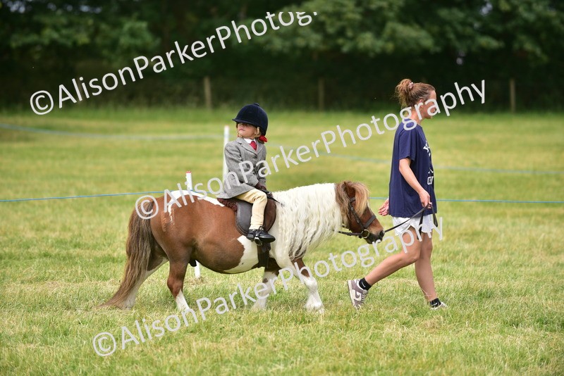 20260614-4174 - Class 17 - Best Mane and Tail