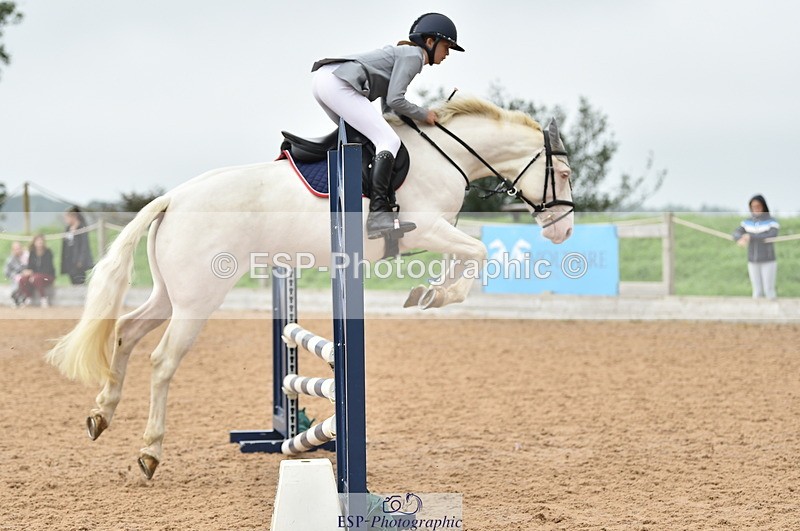 230902A-112436-00703 - Cls 2B Pony Small 80cm