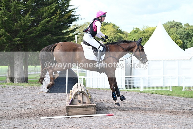 WJ7_0855 - Time 12:02 to 12:30