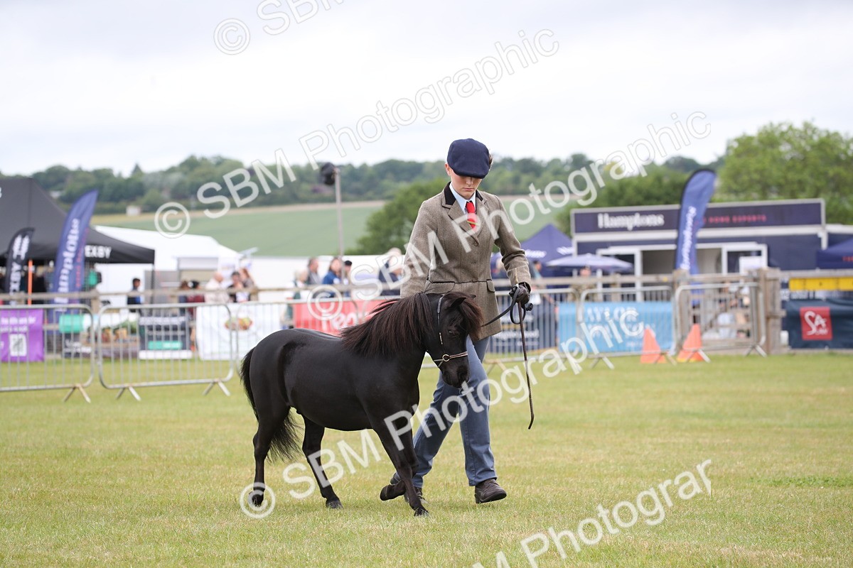 SBM_03957 - Class 23-25 - British Miniature Horse of the Year