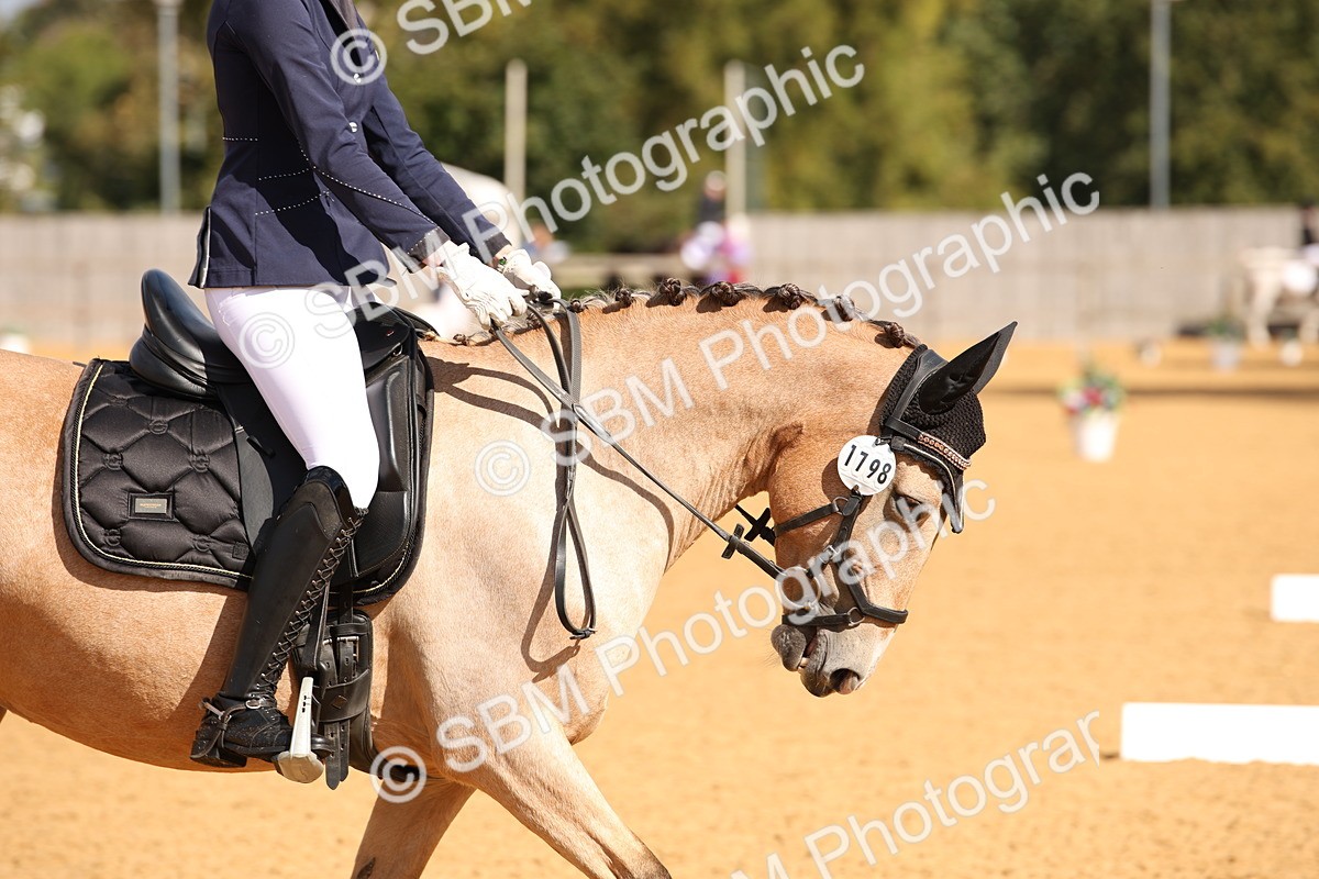 SBM_04240 - D2 Small Tour Championship Intro C