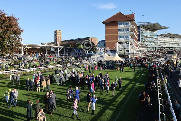 yr08102022r7-8 - Race 7 5.00pm The Coral Gets You Closer To The Action Stakes