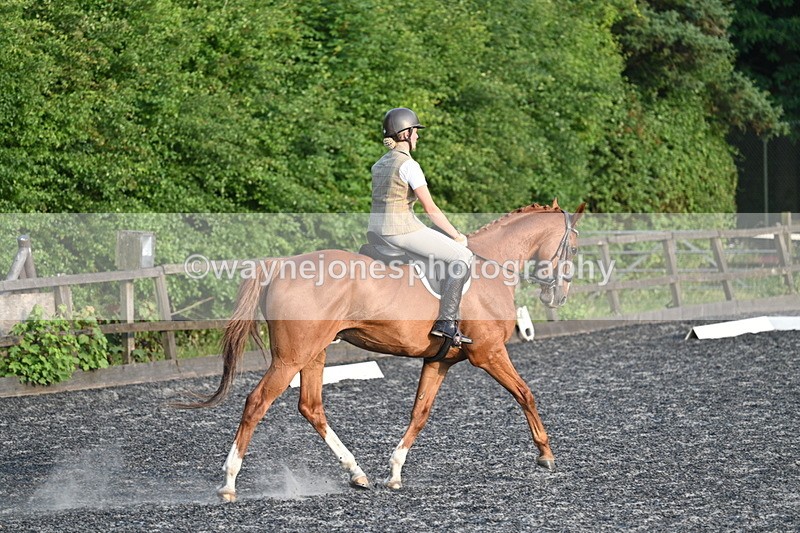 WJ7_0378 - Time 19:38 to 20:00