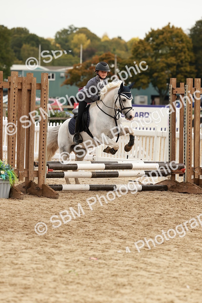SBM_57751 - J11 - Junior Pony 50cm Championship