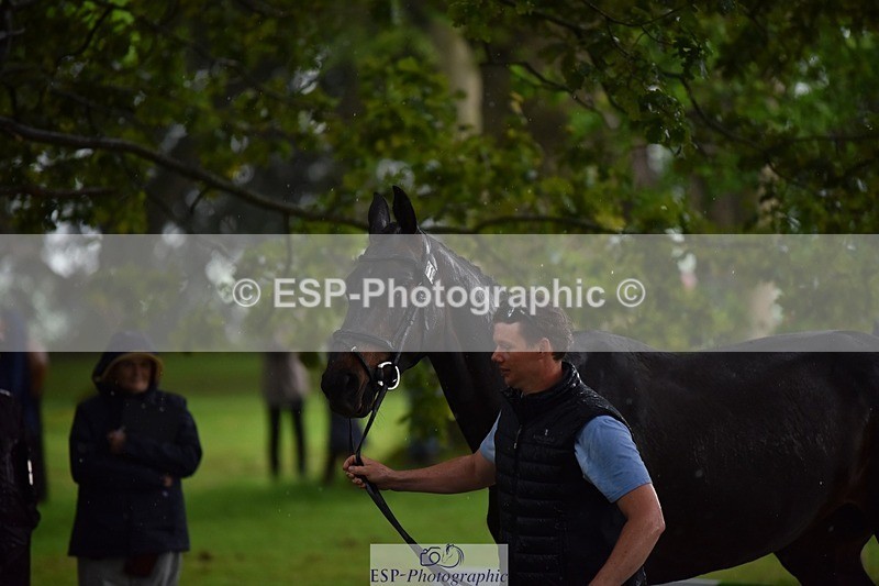 240522-151822-00240 - 319-RLE_KHALEESI_C-Christopher_Wincer