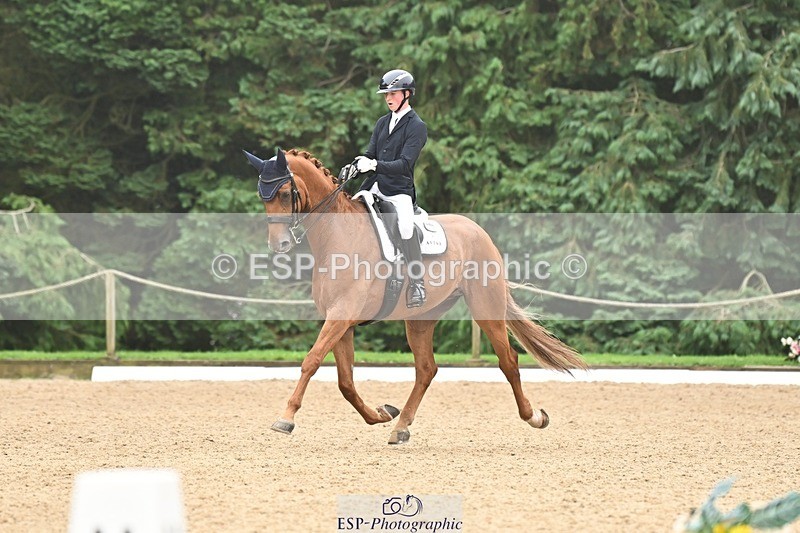 240811-113813-05222 - 208-Tom.Carter-Rubin.Regal