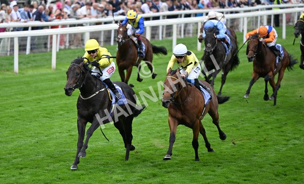 220825-104 Lifeplan - Race 3 3.00pm Al Basti Equiworld Dubai Gimcrack Stakes