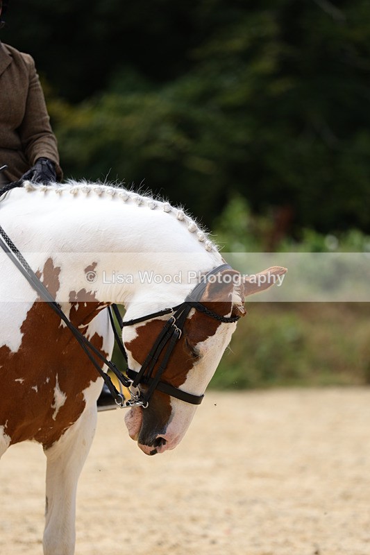 1X9A8529 - Class 22: Veteran