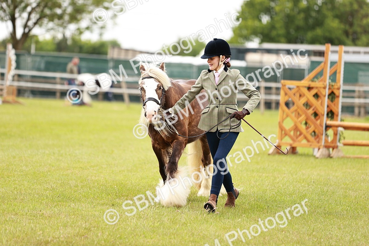 SBM_06058 - Class 39-41 TGCA In Hand and Ridden