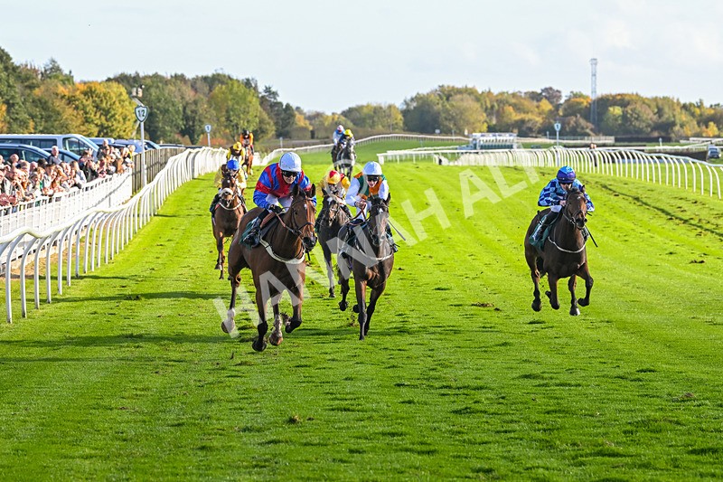 191024-Race 4-Three Dons-4295 - Race 4