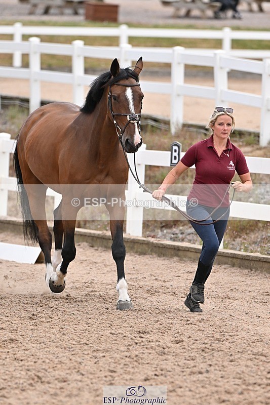 250716-143131-01168 - Trot Up 2.30 to 3.30