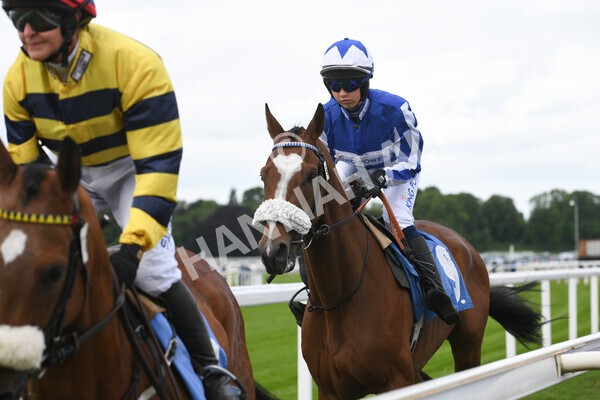 yr11062022r2-23 - Race 2 2.00pm Queen Mother's Cup