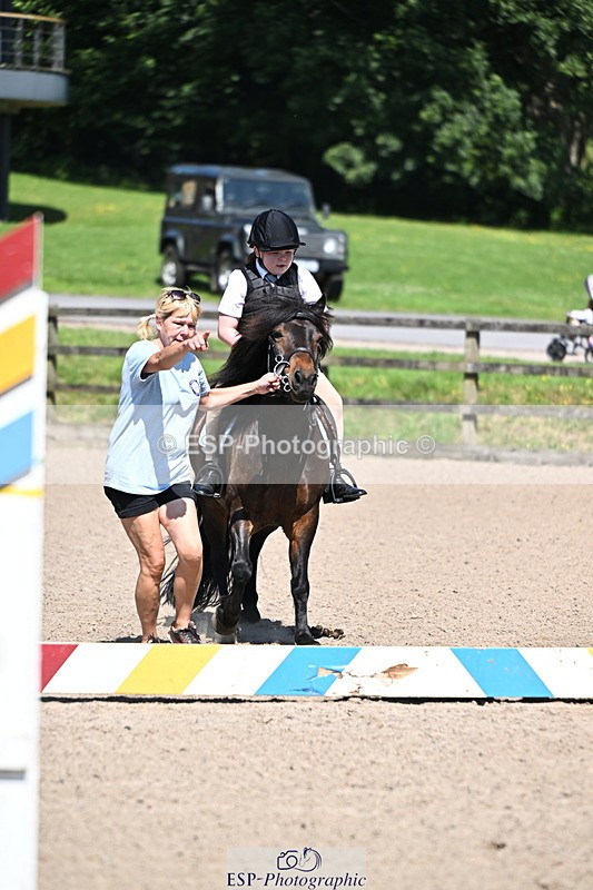 240729B-113222-02417 - Showjumping Competition