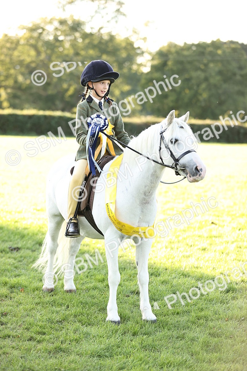 SBM_30143 - Novice & Newcomers Supreme Championship