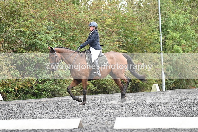 WJ7_6168 - Time 14:10 to 14:45