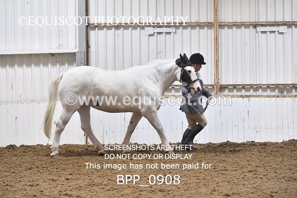 BPP_0908 - RING 2