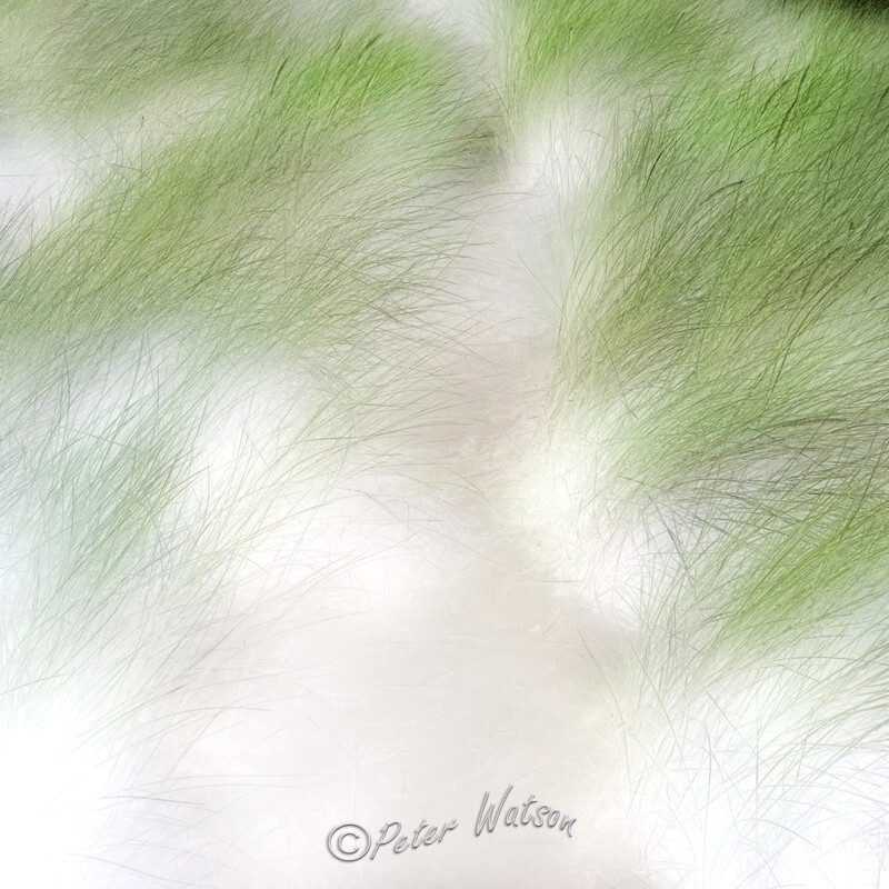Whispering Sand Abstract - Abstracts