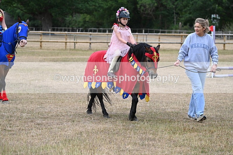 WJ6_8658 - Class 11 Fancy Dress