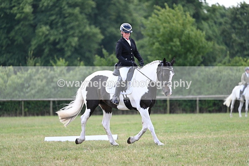 WJ7_5291 - Time 11:22 to 11:51