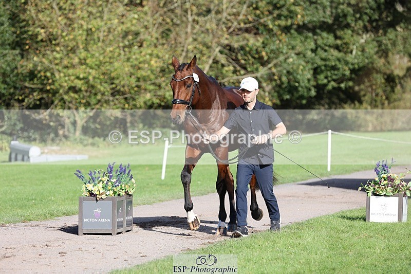 241027-103109-15935 - 584-Tommy.Greengard-I'M.ALL.IN