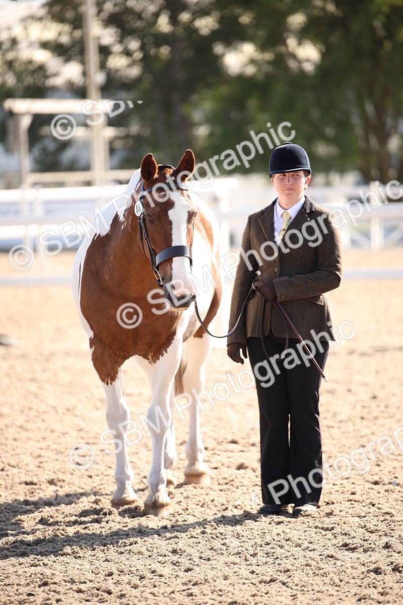 SBM_01552 - Class 15 IH Coloured