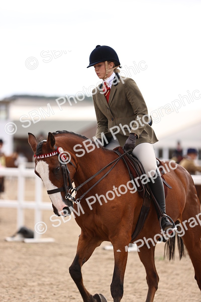 SBM_12954 - Class 410 - Grassroots Ridden - Horse