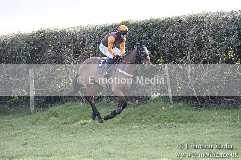 PtP 040218 443 - Point-to-Point Milborne St Andrew 04/02/18