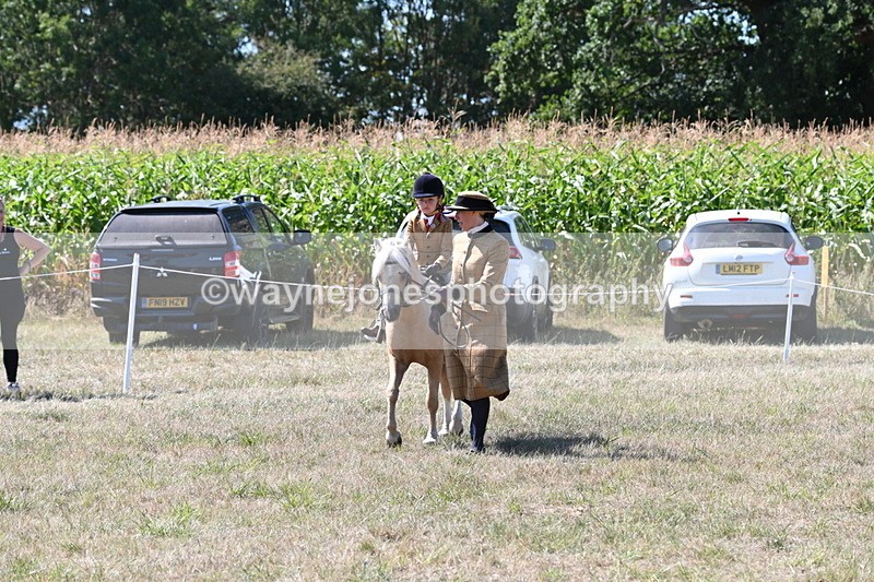 WJ6_8053 - Class 36 Lead Rein