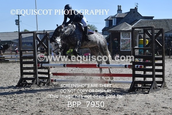 BPP_7950 - CLASS 1 - CLEAR ROUNDS