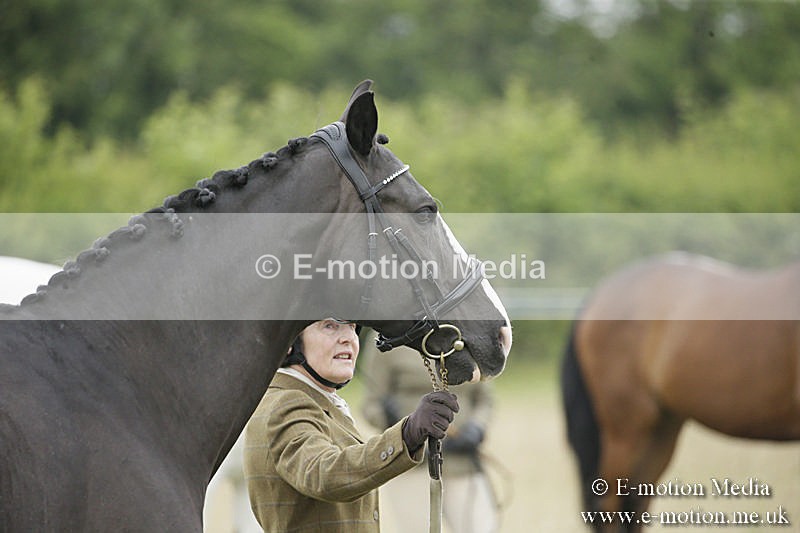 B230619-0275 - Bourne Valley Riding Club Summer Show 23/06/19