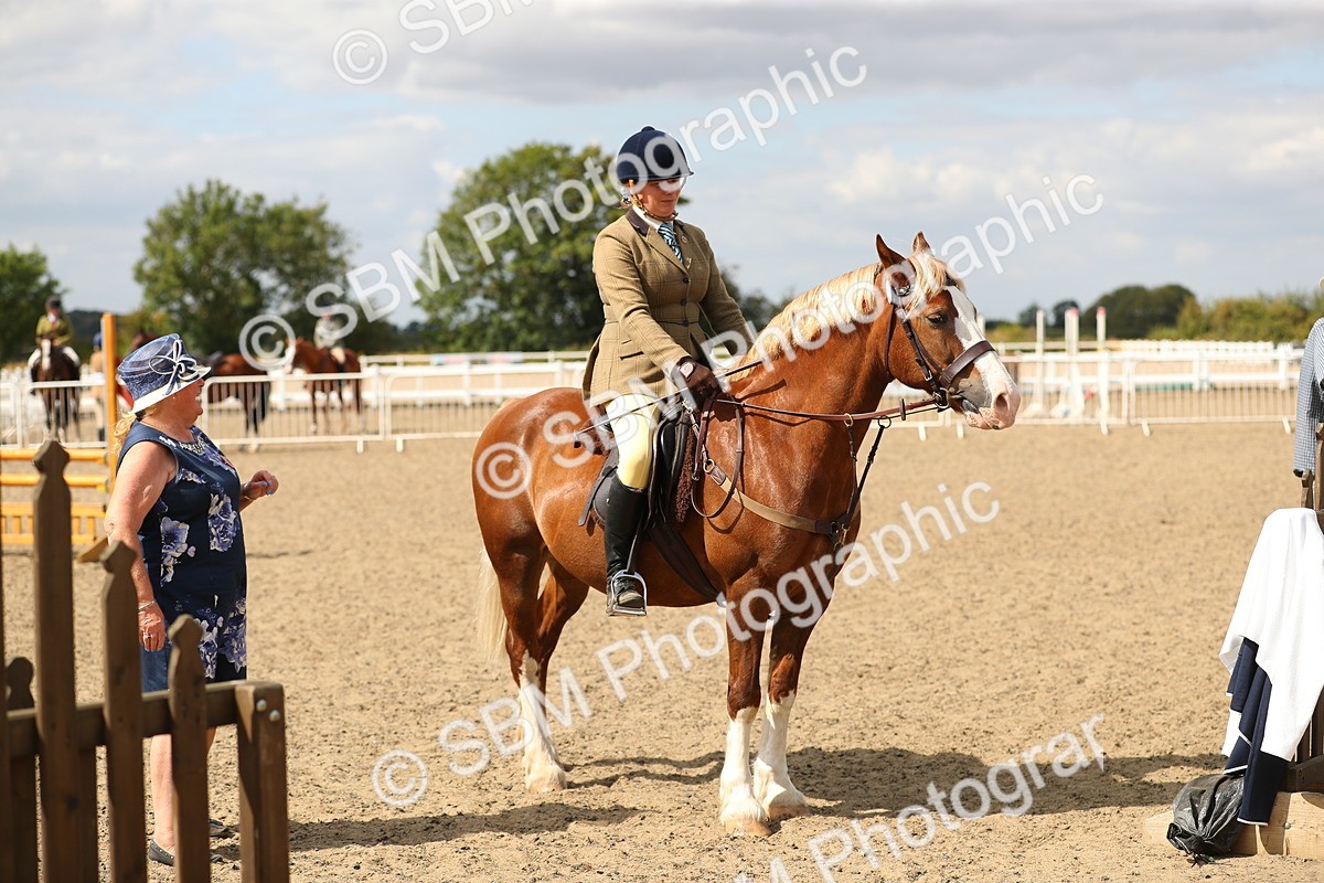 SBM_04717 - Class 46b Style & Performance 50cm (20+)