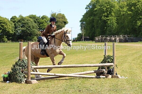 IMG_3649 - Working Hunter