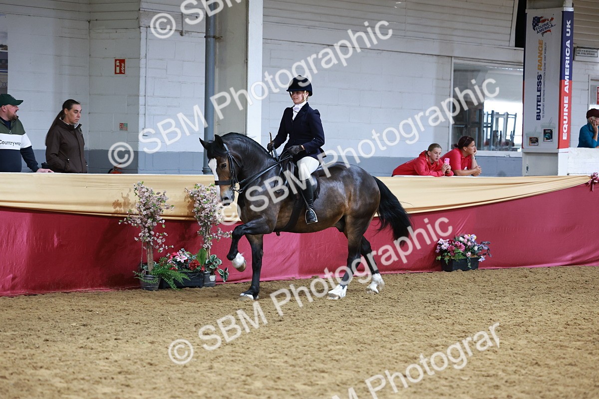 SBM_18582 - Class 952 - M&M Ridden Supreme Final