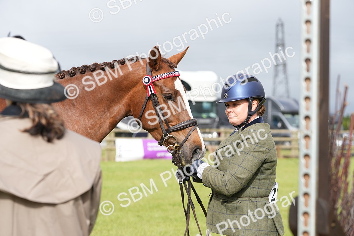 SBM_10624 - Class 97-98 - LIHS BSHA Rising Star Working Show Horse Hunter