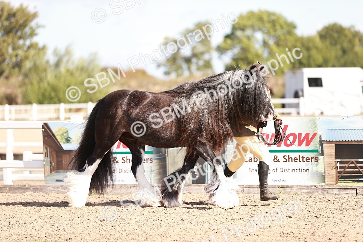 SBM_12567 - Class 404 - IH Traditional - Native Cob