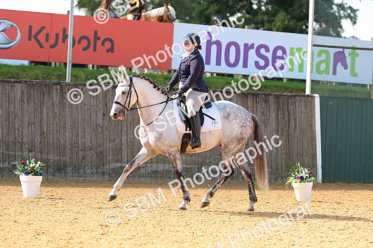 SBM_40779 - D18 - Grand Tour Championship - Novice 34