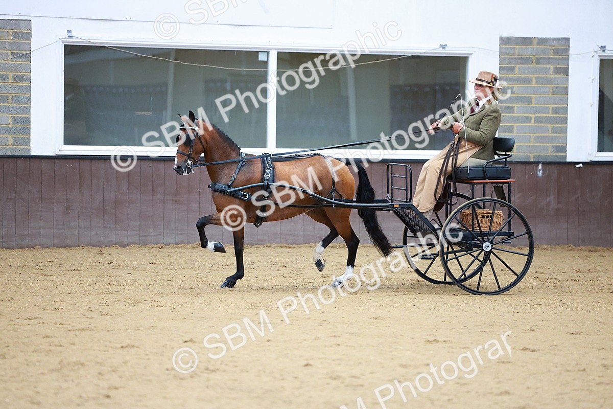 SBM_000127 - Class 3 - Alison Thomas Memorial Lady Whip