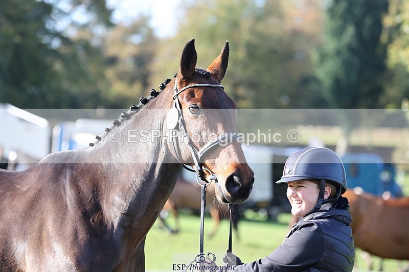 241027-101336-15755 - 509-Tichy.Sanders-SPARHANGER.VELVET