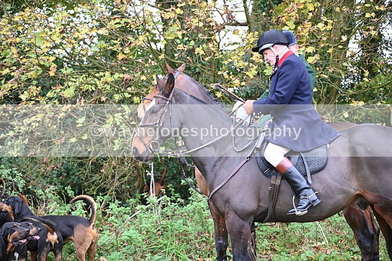 WJ6_8544 - Meet