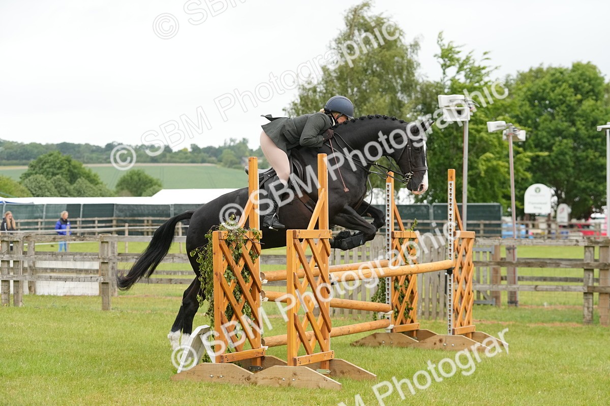 SBM_12579 - Class 97-98 - LIHS BSHA Rising Star Working Show Horse Hunter