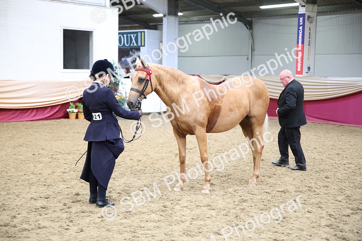 SBM_24748 - Class 906 - Supreme Final - Ridden Pre Vet
