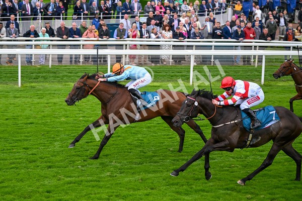 120724-Race 6-The Coffee Pod-6396 - Race 6 4.55pm Irish Thoroughbred Marketing Handicap