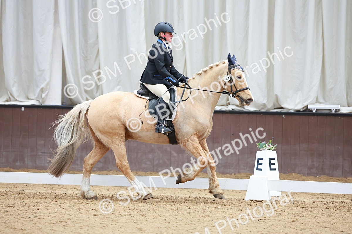 SBM_001082 - Class 5 - Novice 1