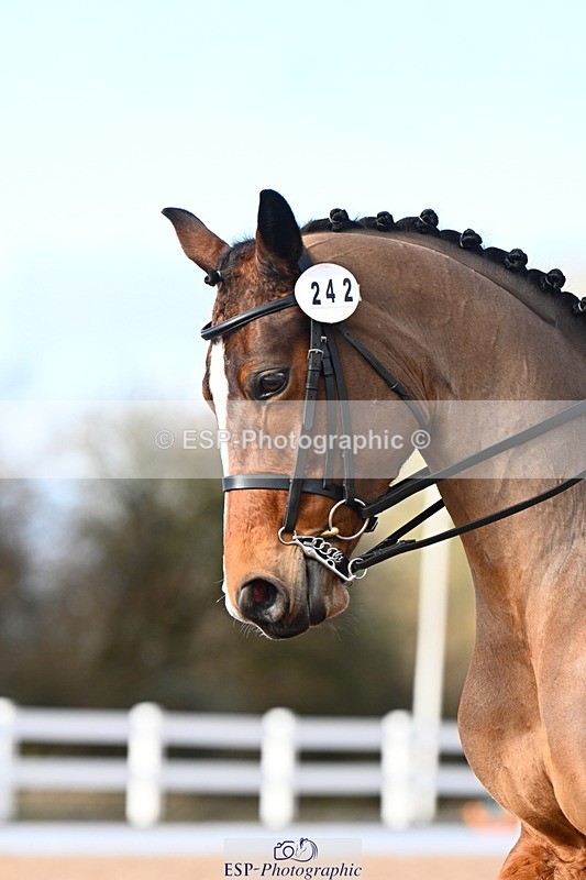 240218A-144449-08732 - 242-Alex.Robinson-Barr-French.Affair