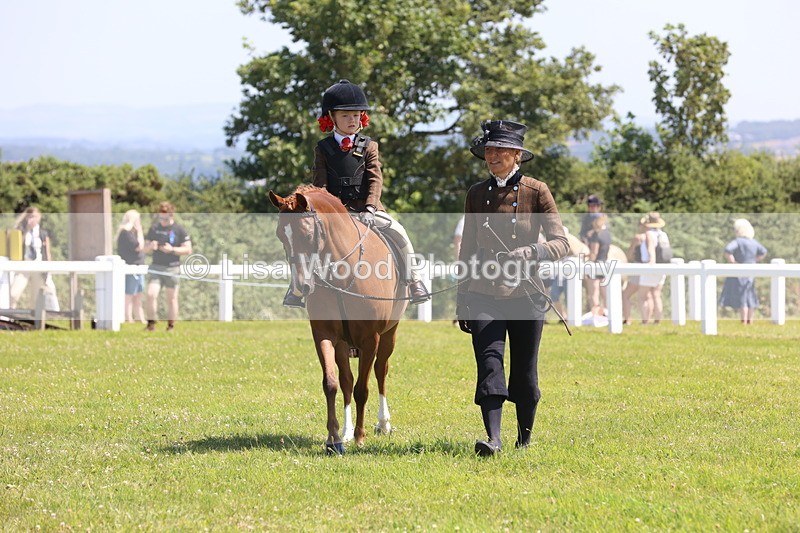 JPP_2164 - Class 20: Tiny Tots Working Hunter Pony
