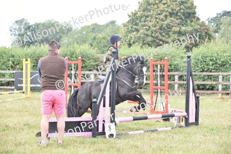 20250831-1859 - Class 9 - Absolute Novice 45cm